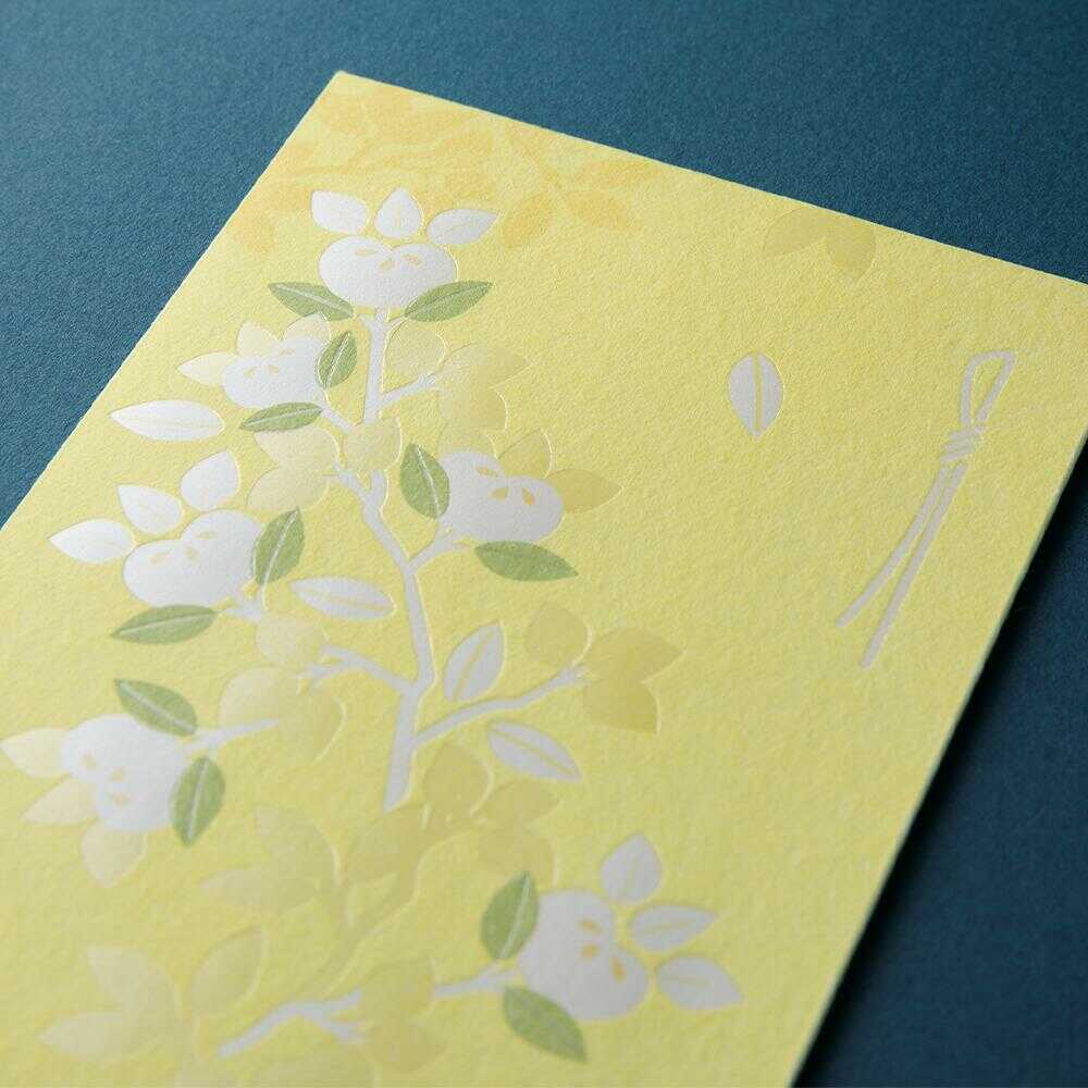 ミドリ 金封 のし袋 橘柄 3枚入