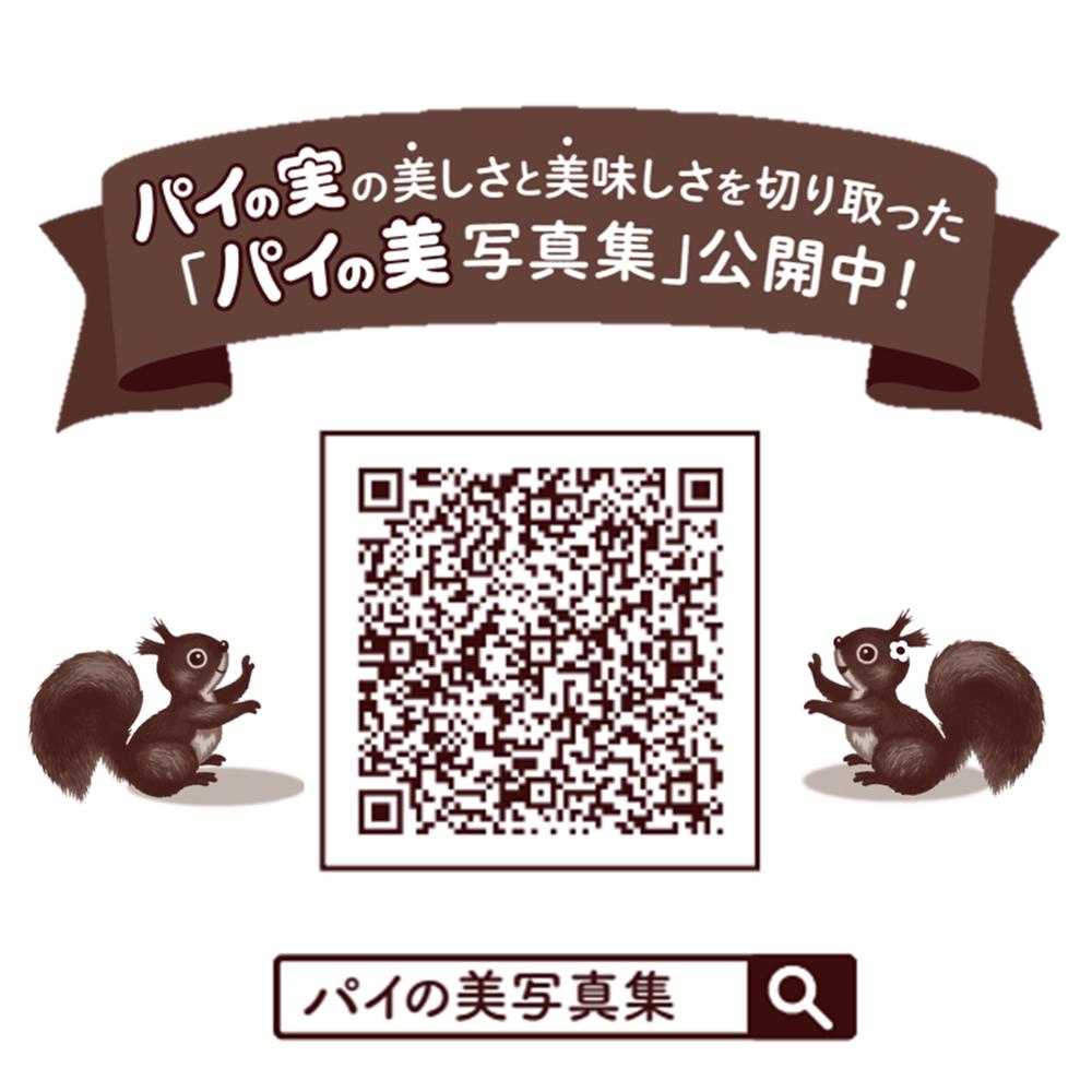 ◆ロッテ パイの実 73g【10個セット】