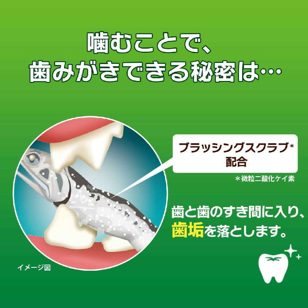 PETKISS 猫ちゃんの歯みがきおやつ にぼし 12G