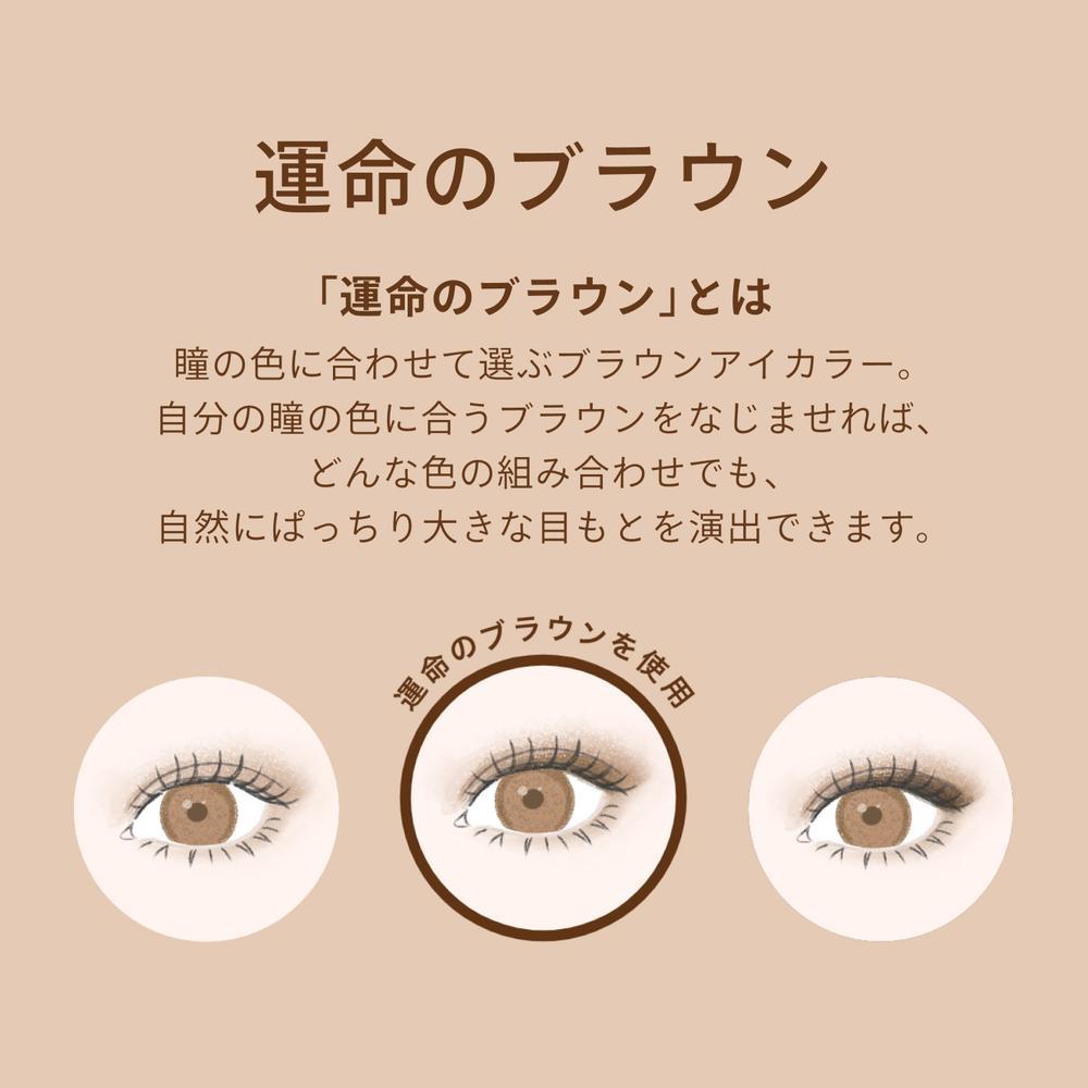 資生堂 マキアージュ カスタマイズアイカラー シングル なめらかクリアカラー RS319 ルビーカカオ(マット) 1g