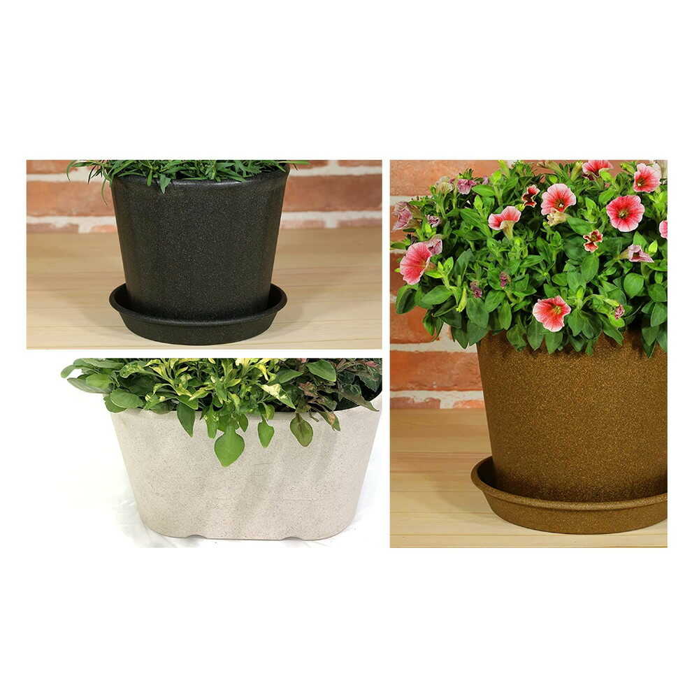 welzo もみっくプレート ブラック 8号 ブラック