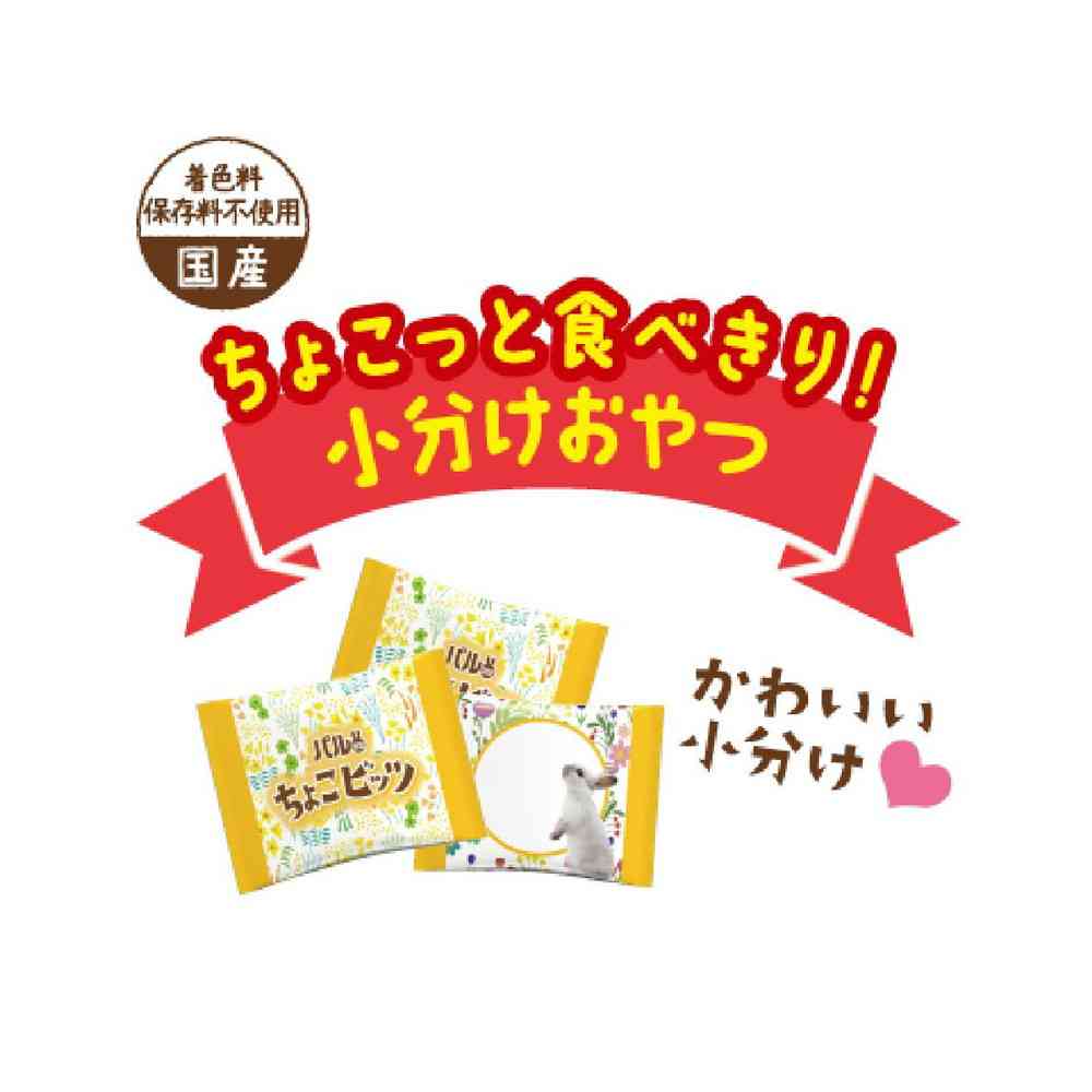 日本ペットフード パルワン ちょこビッツ バナナ味