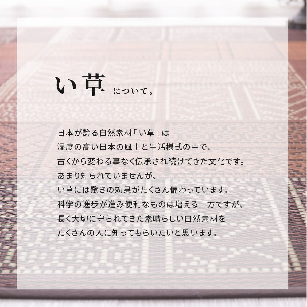 い草ラグ 伊勢 ブルー 176×176 メーカー直送 ▼返品・キャンセル不可【他商品との同時購入】