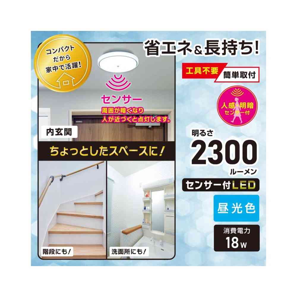 オーム電機 センサー付 LED内玄関灯 昼光色 昼光色