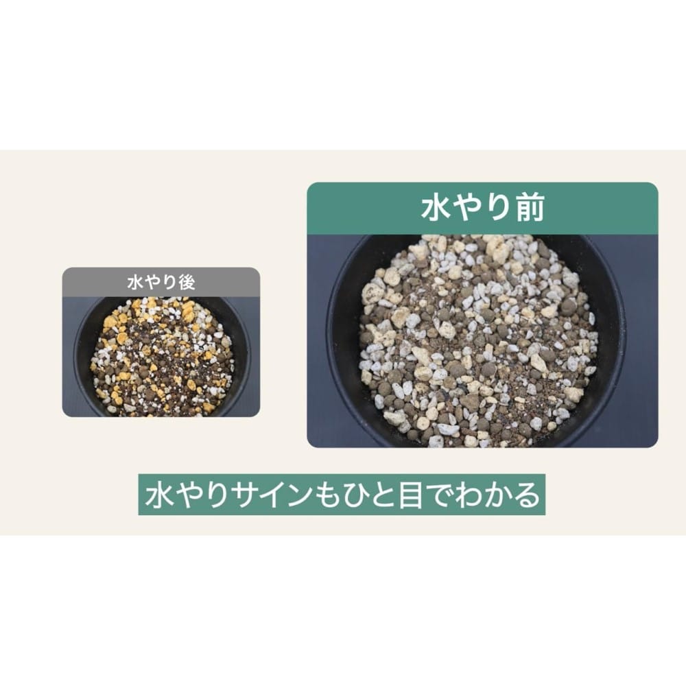 住友化学園芸 マイプランツ 健やかに育てるソイル観葉用 5L