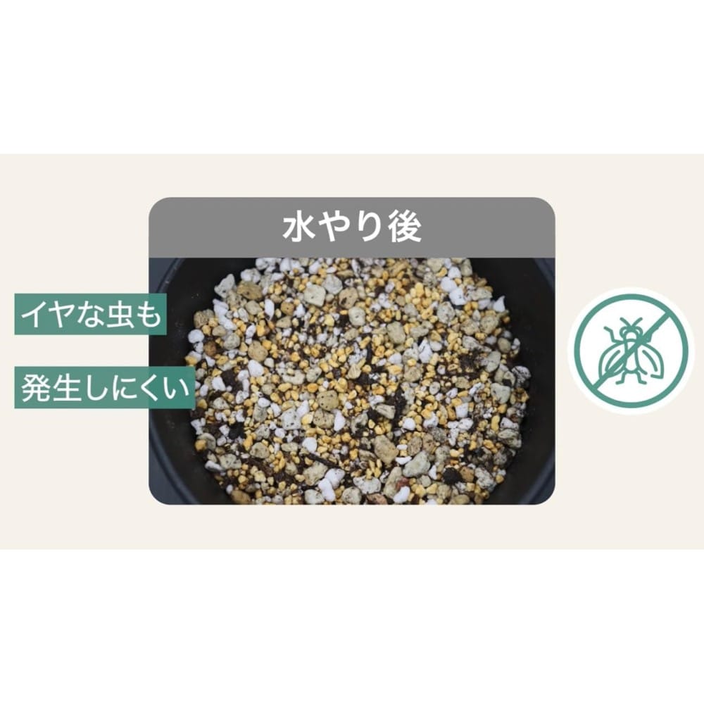 住友化学園芸 マイプランツ健やかに育てるソイルアガベ用 5L