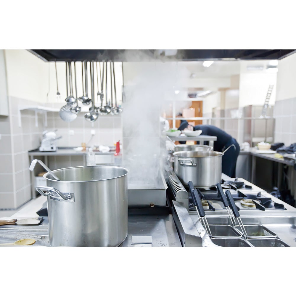 27200355 大一産業 ポータブルスプレイヤー メーカー直送 ▼返品・キャンセル不可【他商品との同時購入不可】