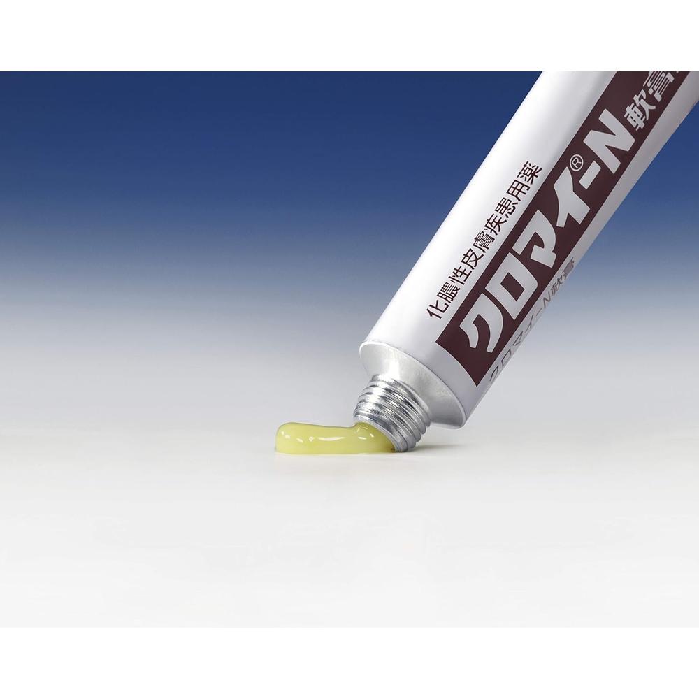 【第2類医薬品】クロマイーN軟膏 6G