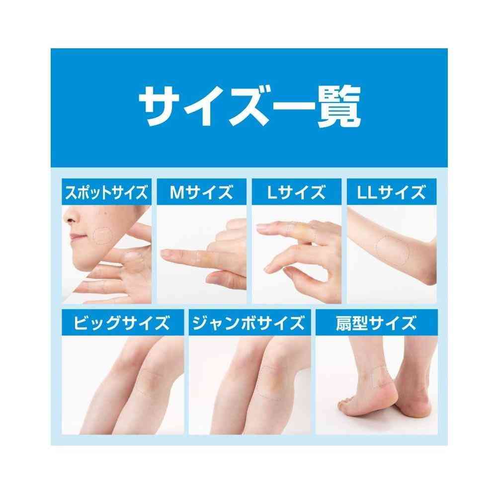 【管理医療機器】ニチバン ケアリーヴ 治す力 防水タイプ CNB5B ビッグサイズ 5枚