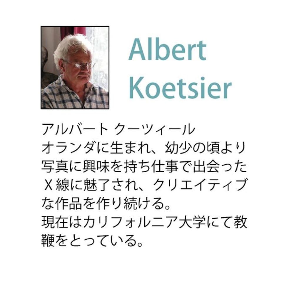 X RAY ガラス アート M 「カラフルユーカリ」 【直送品】 返品・キャンセル・他商品と同時購入は不可