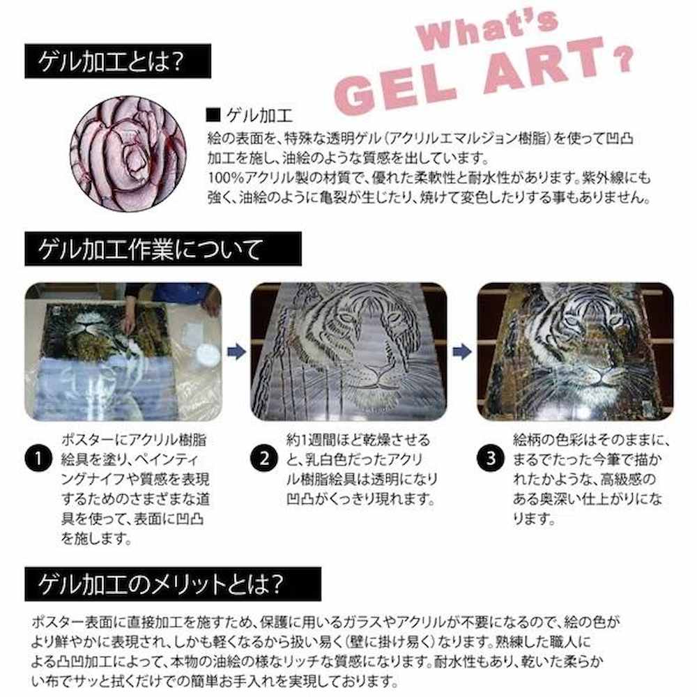 アートパネル フランツ ヘイグル 「デリケート ツィグス」 【直送品】 返品・キャンセル・他商品と同時購入は不可