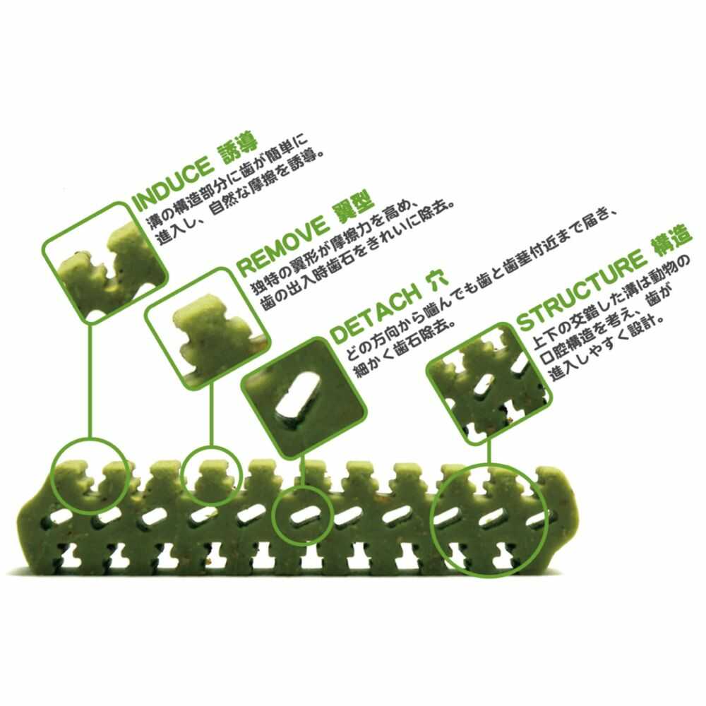 デンティ3フェアリーEX S 14本/120g