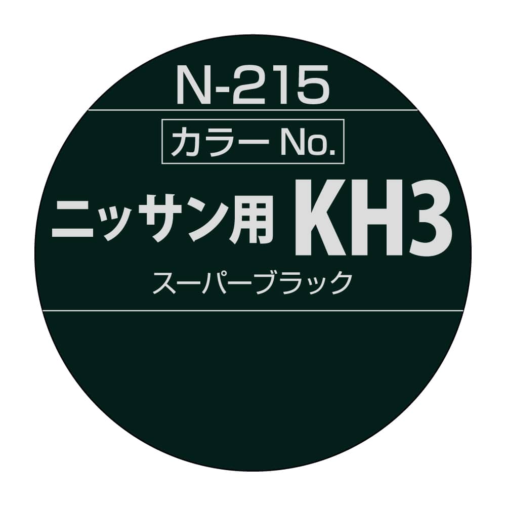 ボデーペン N215