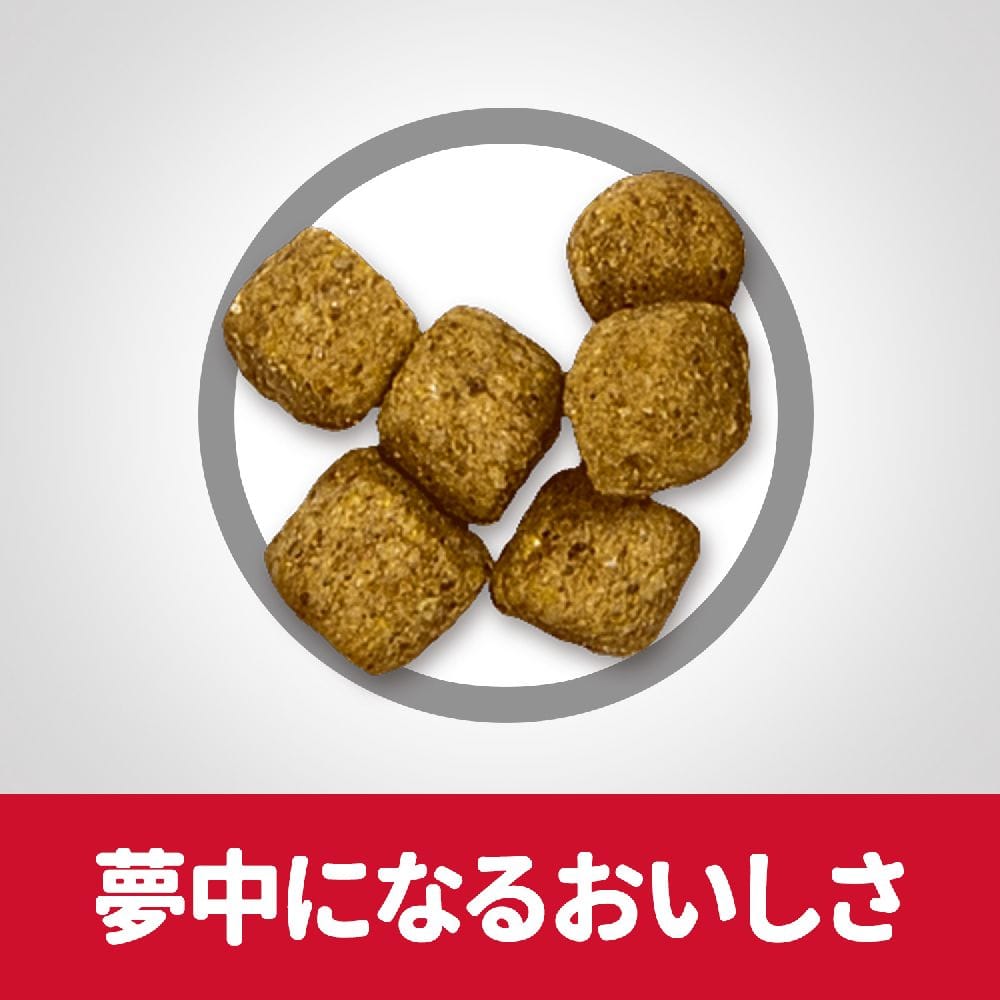 ヒルズ サイエンスダイエット シニアライト小粒肥満傾向高齢犬 12kg