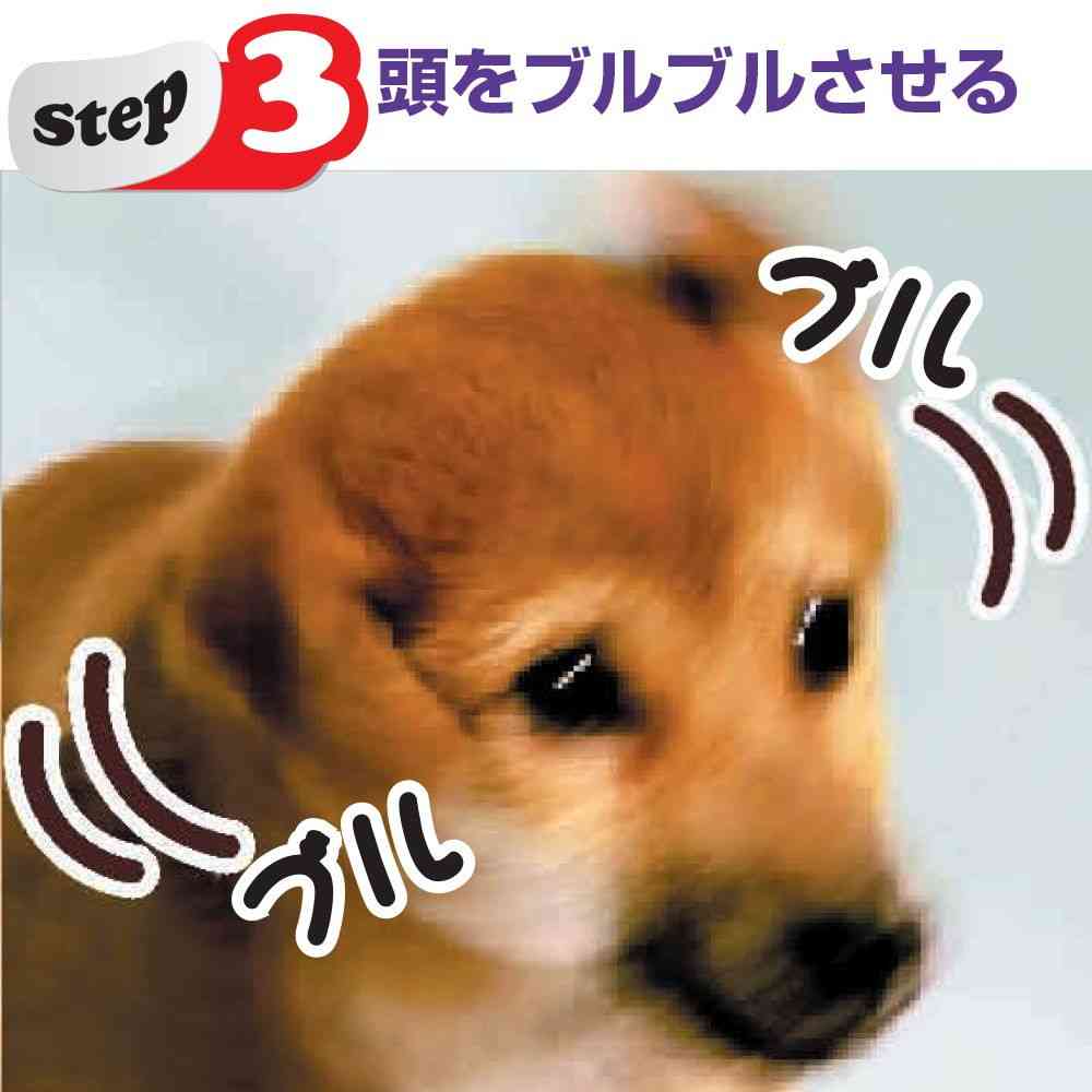 トーラス耳クサ・イヤー