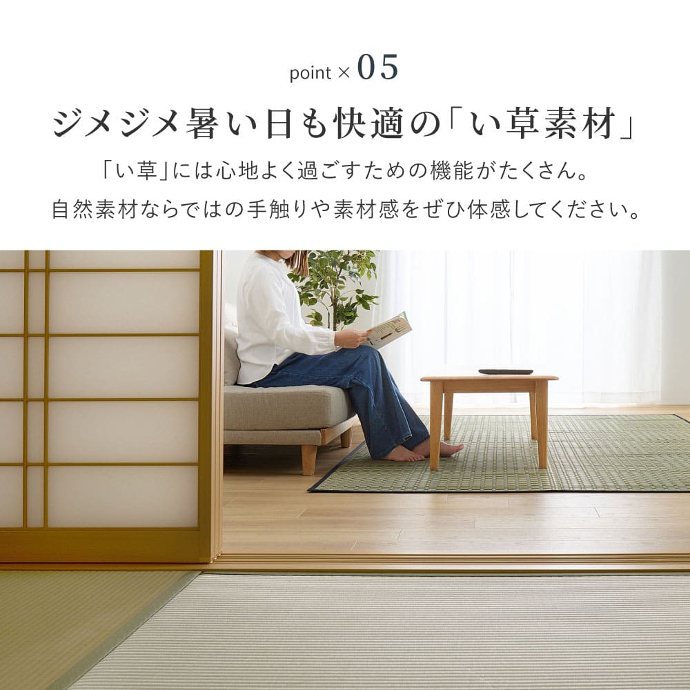 い草カーペット 清澄 江戸間6帖ブルー 【直送品】 返品・キャンセル・他商品と同時購入は不可