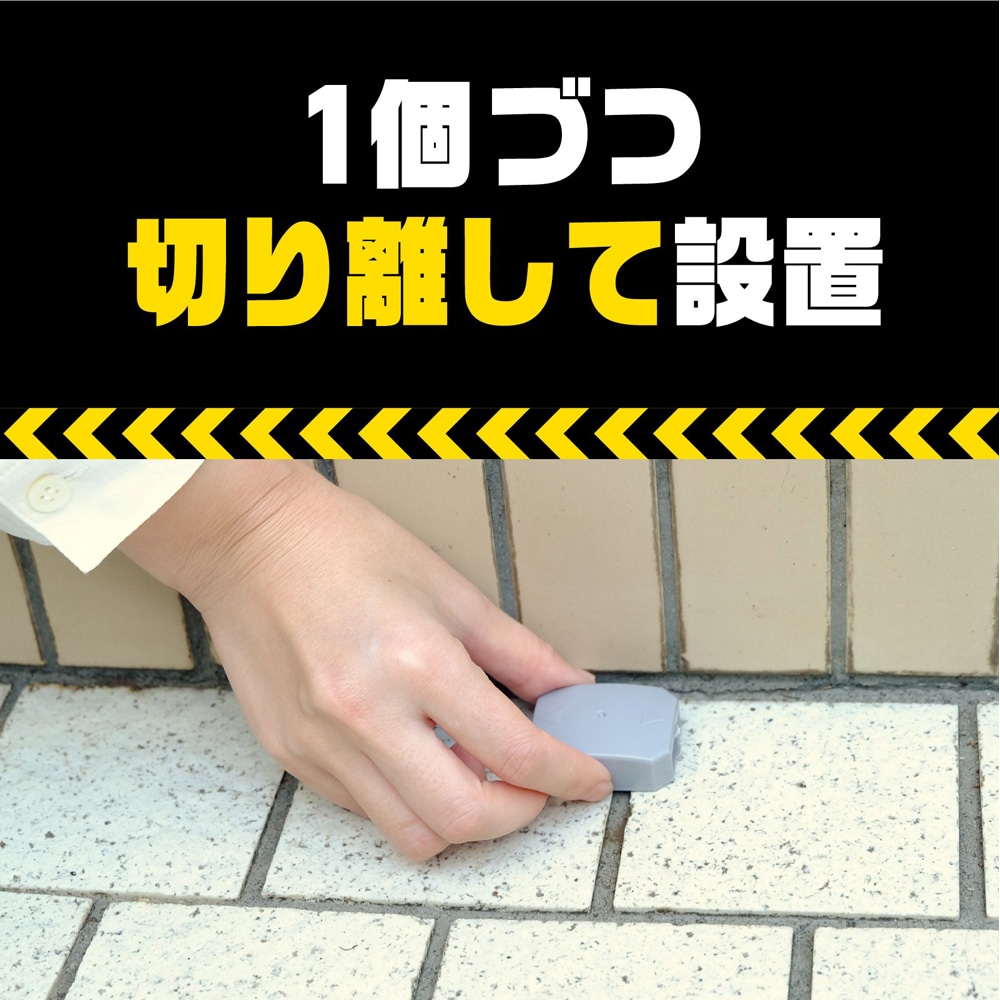 アース製薬 アースガーデン ナメクジ撃滅 容器入り駆除エサタイプ 8個