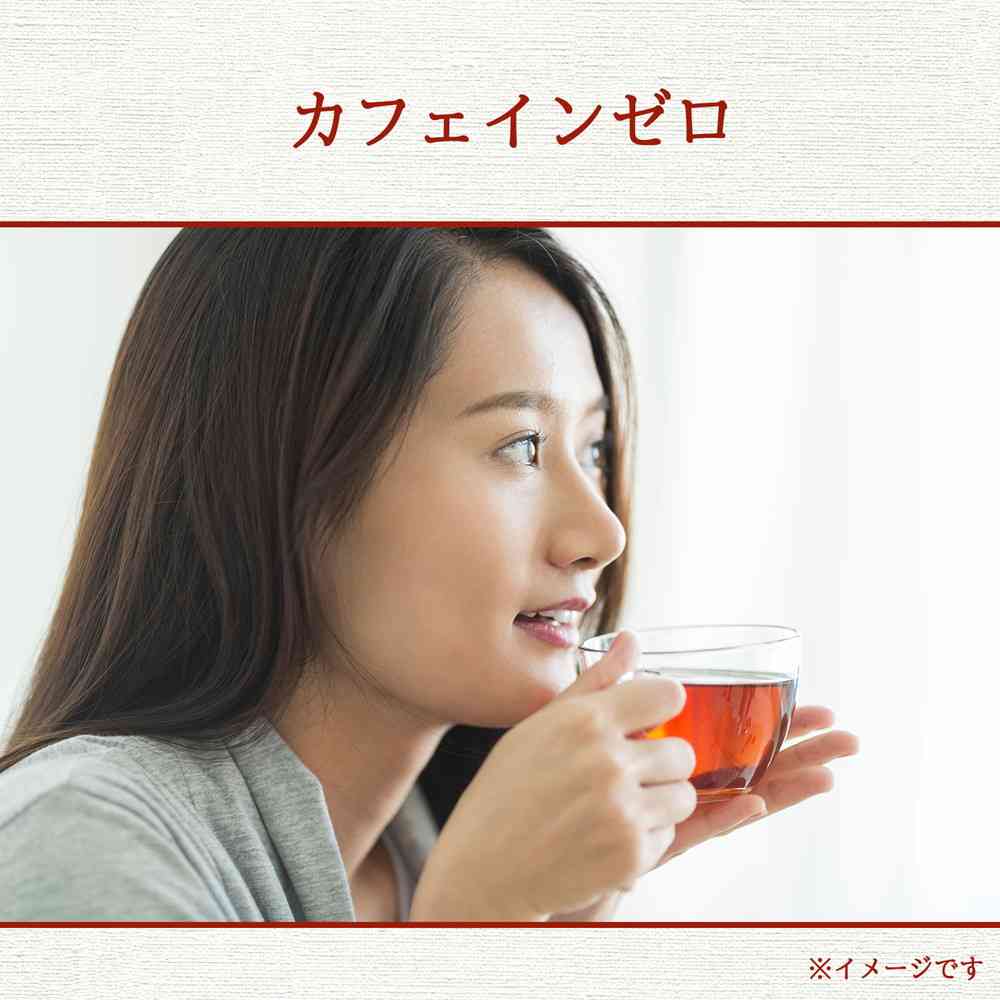 ◆伊藤園 ヘルシールイボスティーティーバッグ30袋入り【10個セット】