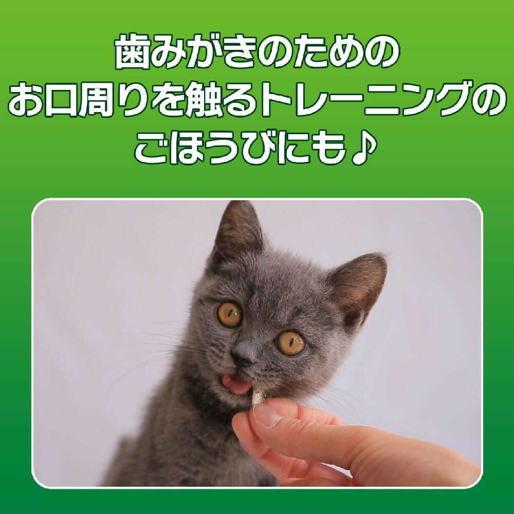 PETKISS 猫ちゃんの歯みがきおやつ にぼし 12G