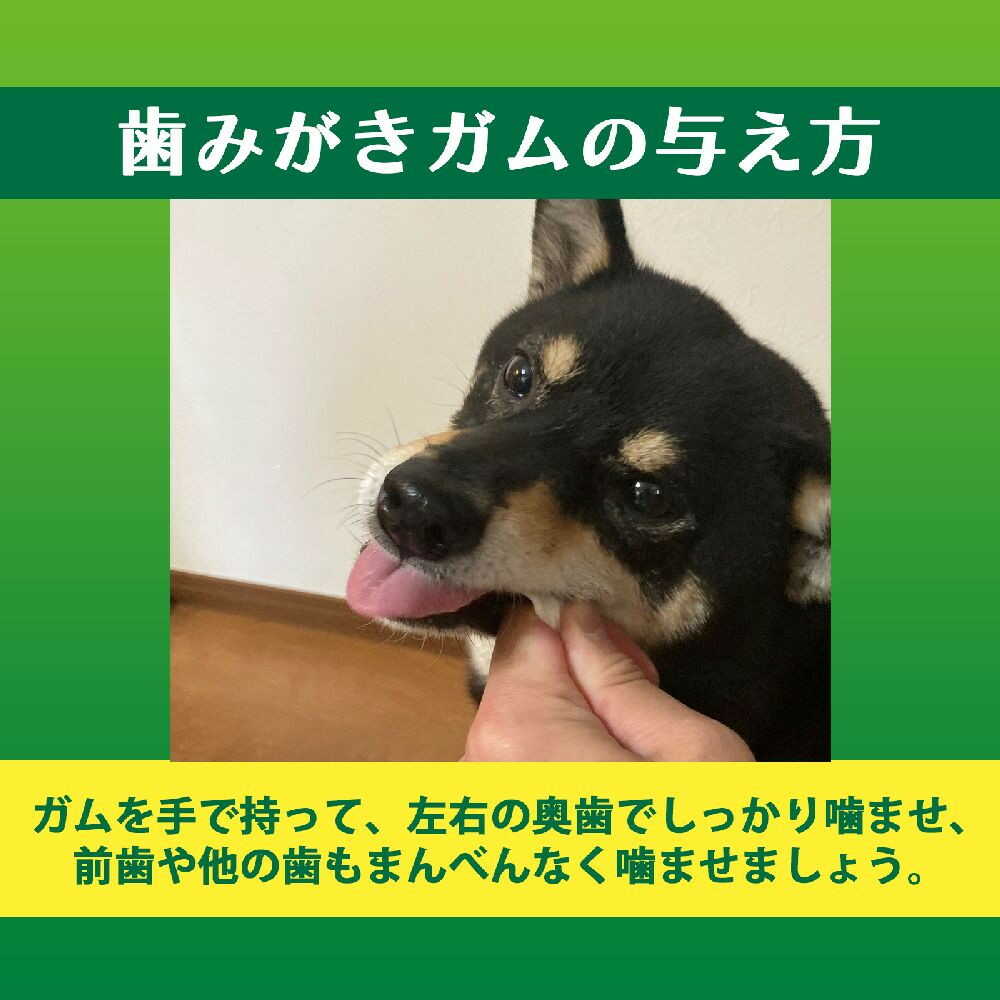 ライオン ペットキッス 食後の歯みがきガム やわらかタイプ 超小型犬~小型犬用 90g