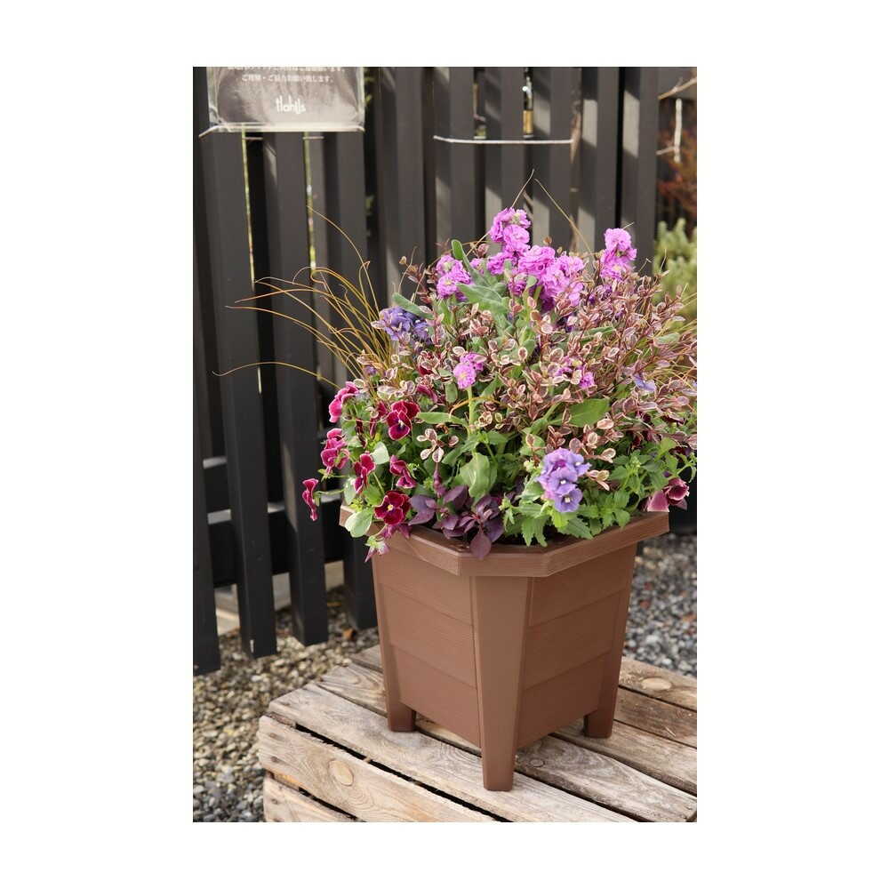 アップルウェアー 花と野菜のプランター 300型 ブラウン ブラウン