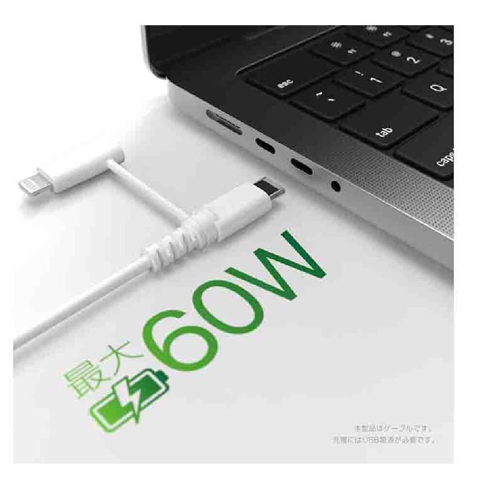 カシムラ LN変換コネクタ付 C-Cケーブル 1.2m WH AJ676 ホワイト