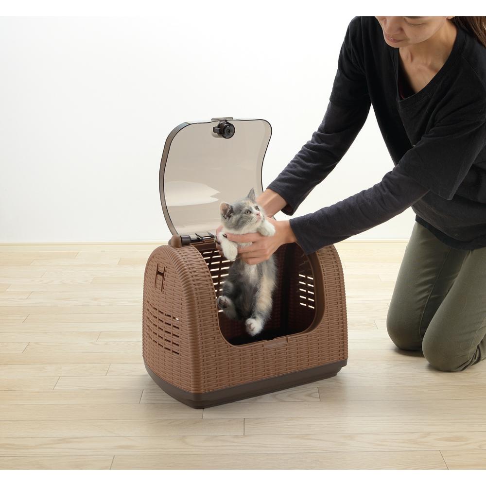 ラタンキャリー ブラウン メーカー直送▼返品・キャンセル不可【他商品との同時購入不可】