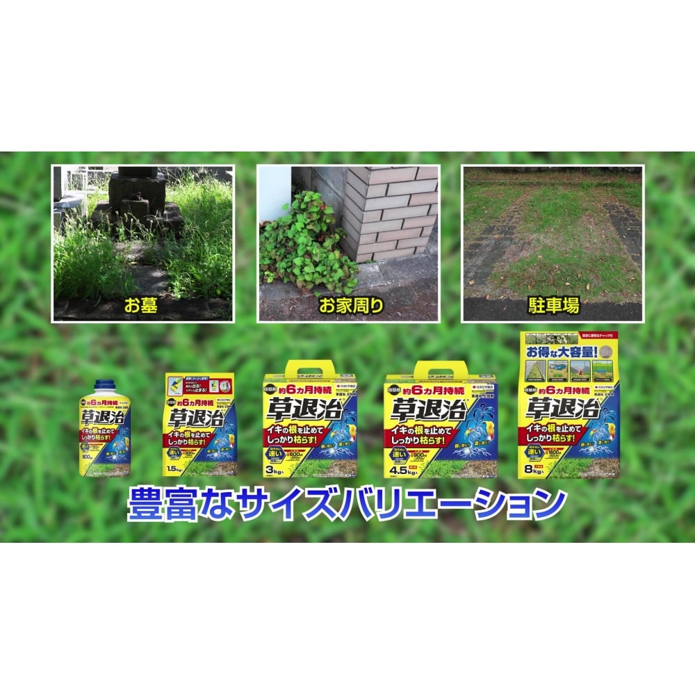 (農)住友化学園芸 草退治E粒剤 8Kg