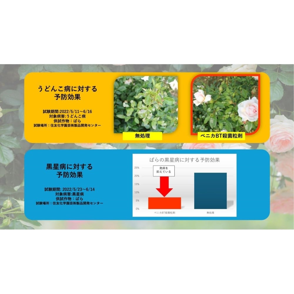 (農)住友化学園芸 マイローズ ベニカBT殺菌粒剤 500g