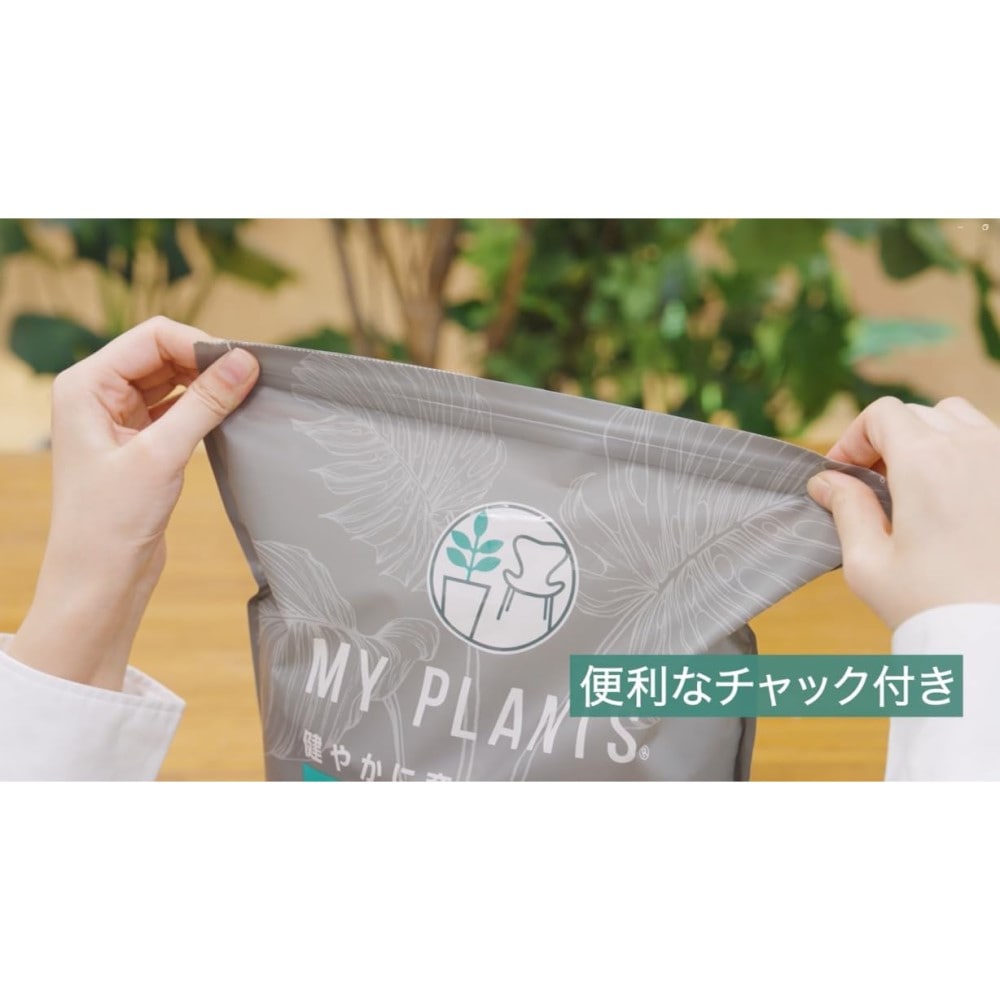 住友化学園芸 マイプランツ 健やかに育てるソイル観葉用 2L