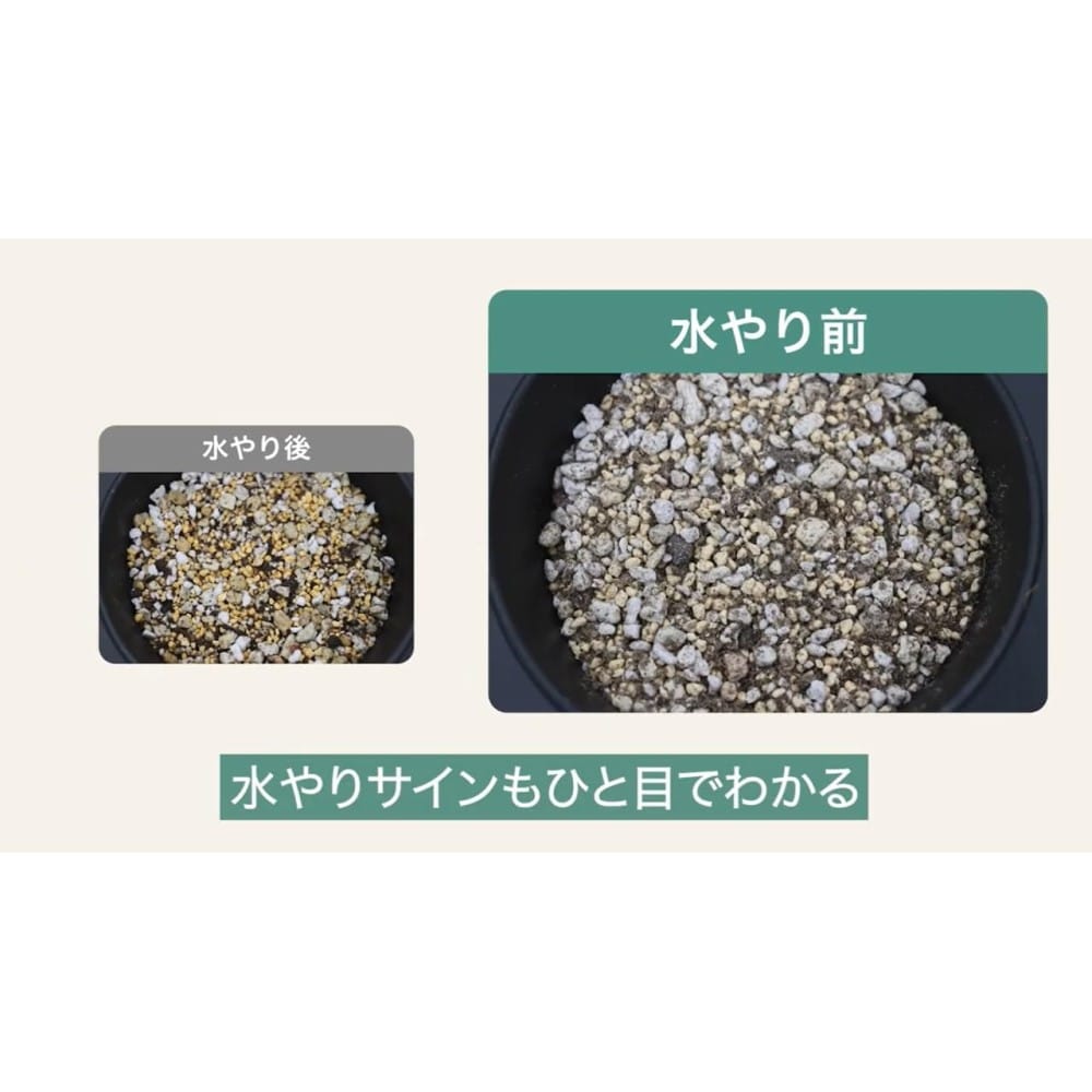 住友化学園芸 マイプランツ健やかに育てるソイルアガベ用 5L