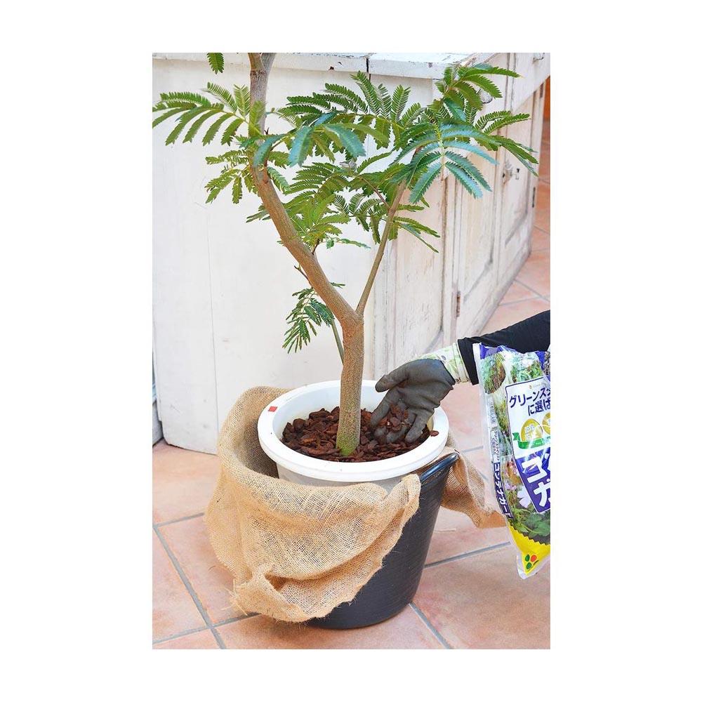 花ごころ コンテナガードM 3L