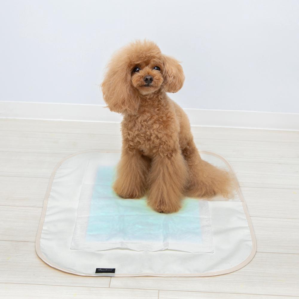 HappyDays 洗える消臭防水シート S メーカー直送▼返品・キャンセル不可【他商品との同時購入不可】