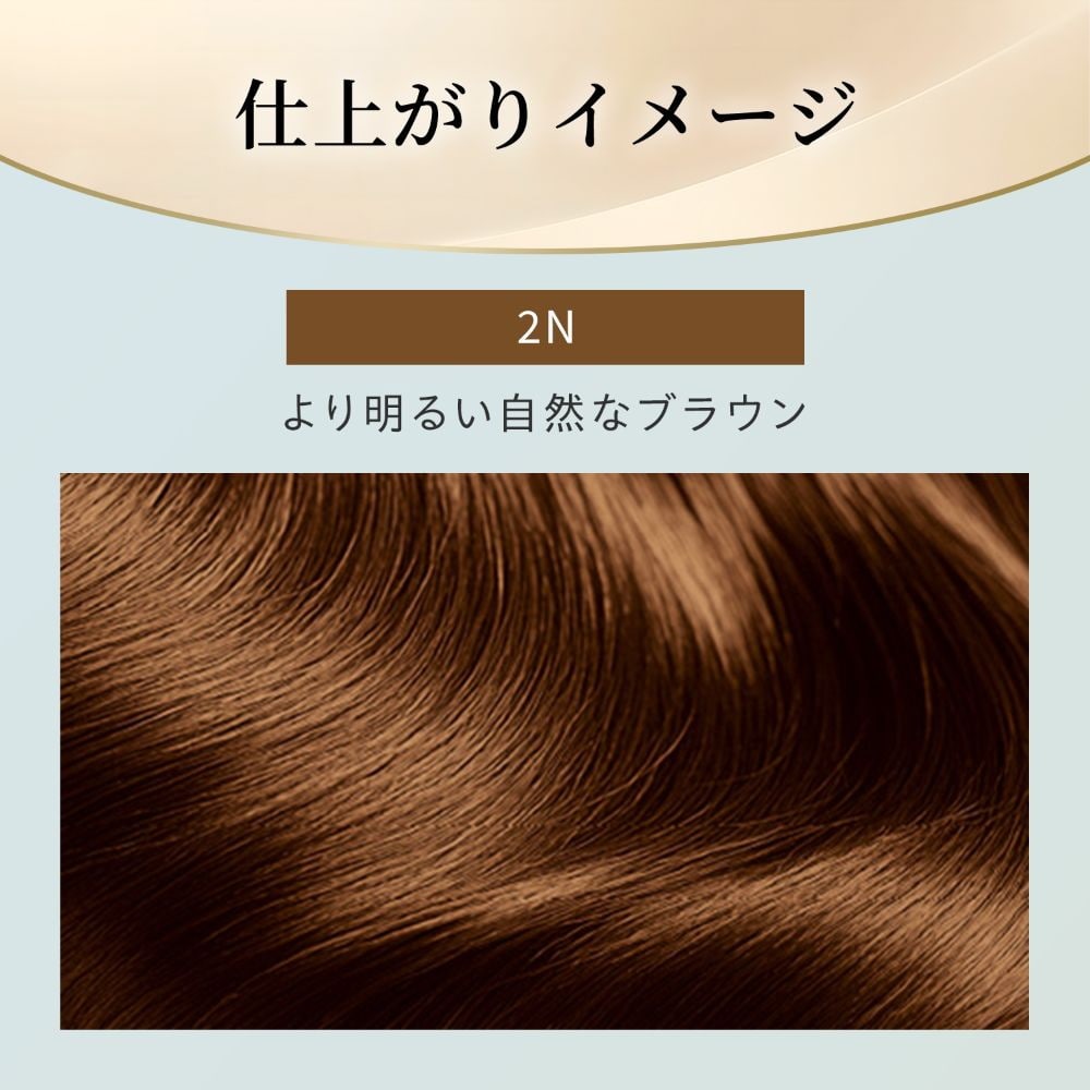【医薬部外品】ホーユー ビゲン リピカラー 2N より明るい自然なブラウン1剤 40g + 2剤 40g