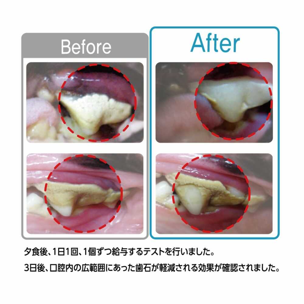 デンティ3フェアリー徳用SS 32本/150g