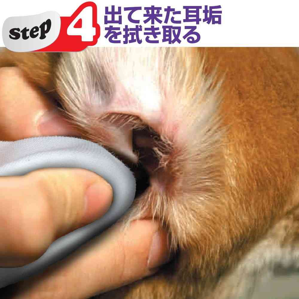 トーラス耳クサ・イヤー