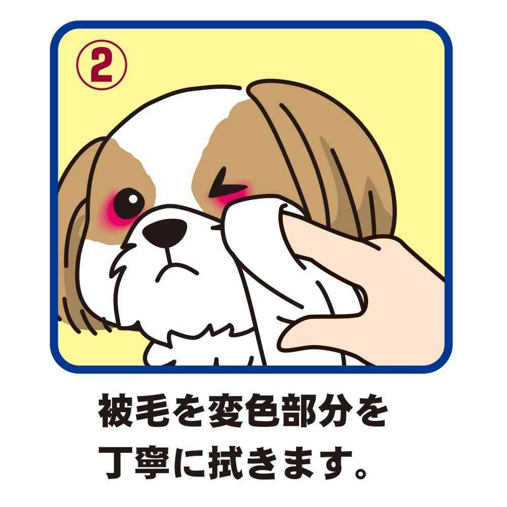 トーラス涙やけ・イヤー