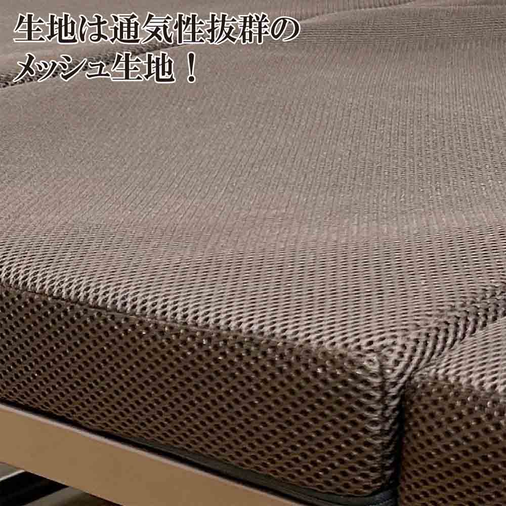 手すり付き折り畳みベッド PB-IDS メーカー直送 ▼返品・キャンセル不可【他商品との同時購入不可】