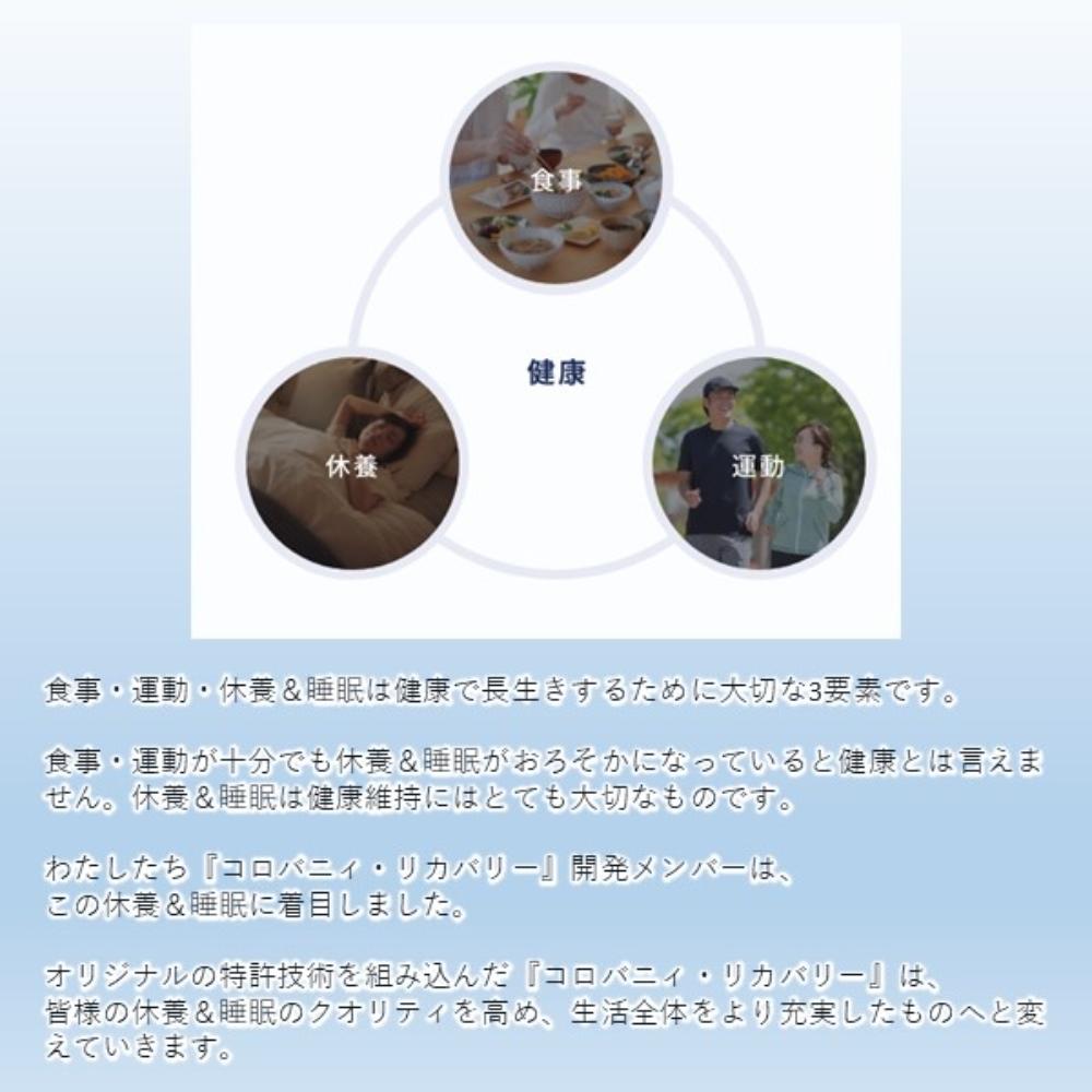 コロバニィ コットン Tシャツ S ブラック 10616S メーカー直送 ▼返品・キャンセル不可【他商品との同時購入不可】