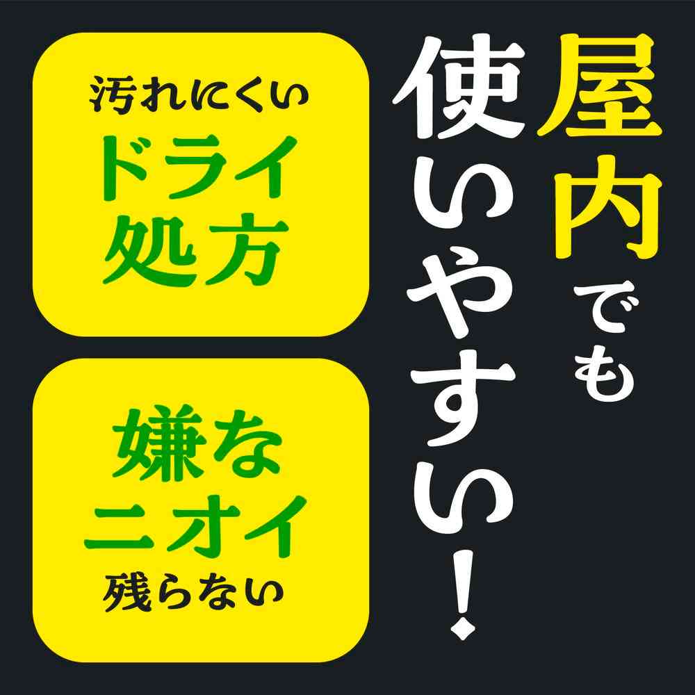アース製薬 ネズミのみはり番 1プッシュ式 スプレー 50回分 65ml
