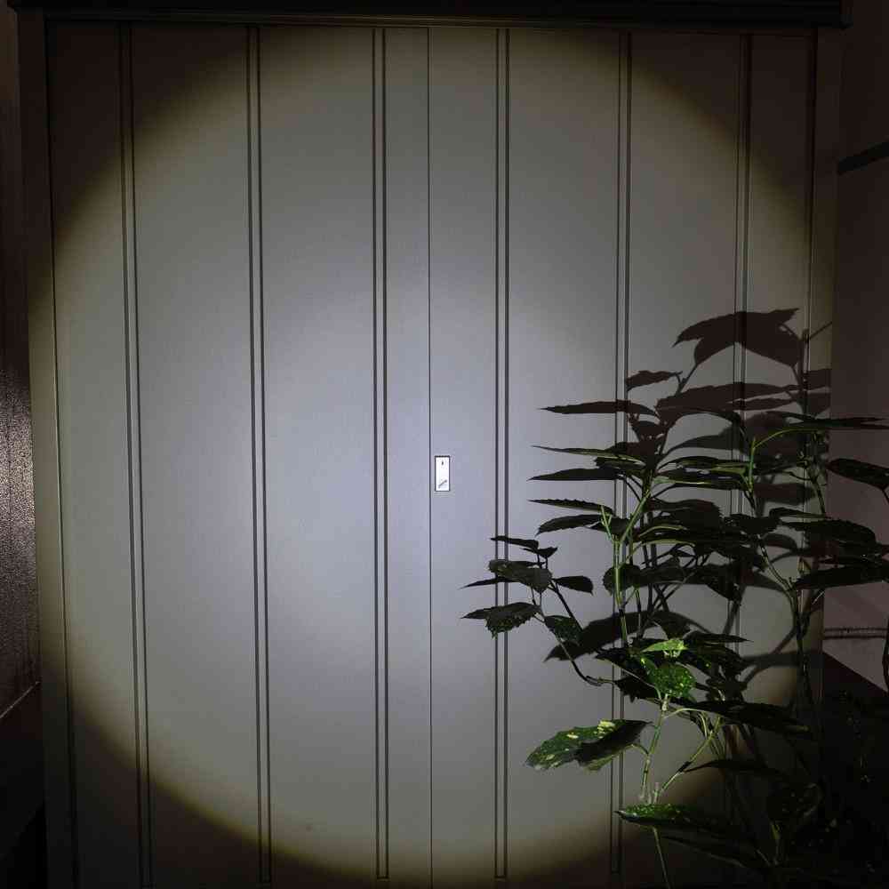 ELPA LED アルミハンドライト 650ルーメン DOP-EP560 1個