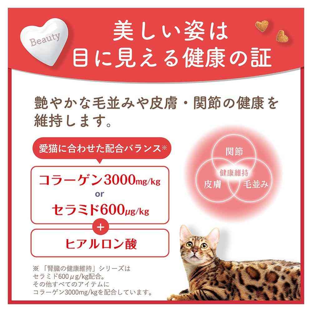 日本ペットフード ビューティープロ キャット Wケア 腸内環境・自然免疫ケア 1.2kg(240gx5)