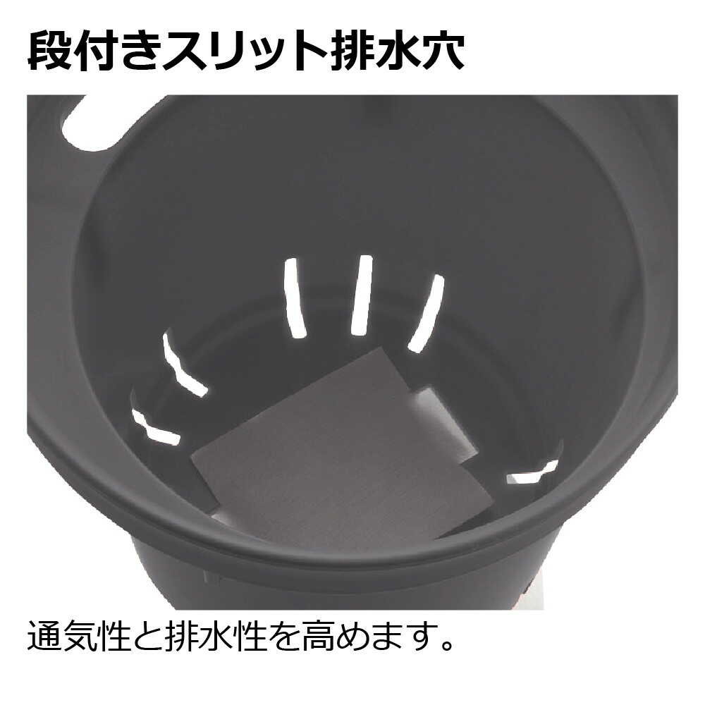 リッチェル ミエルノPlus ポット ホワイト ホワイト