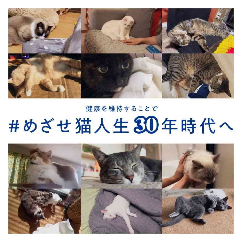 マルカン AIM30 サプリメント 3.2g×7本