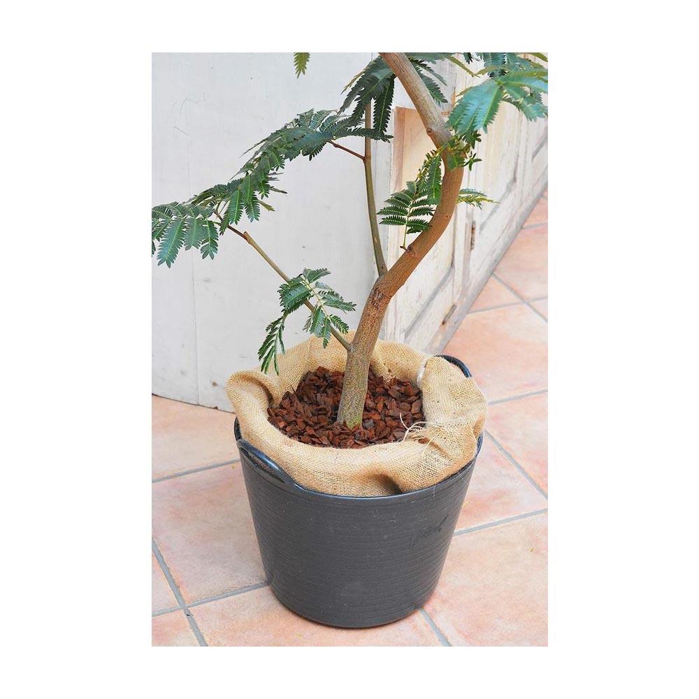 花ごころ コンテナガードM 3L