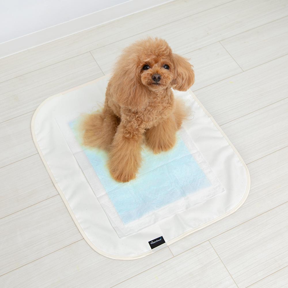 HappyDays 洗える消臭防水シート S メーカー直送▼返品・キャンセル不可【他商品との同時購入不可】