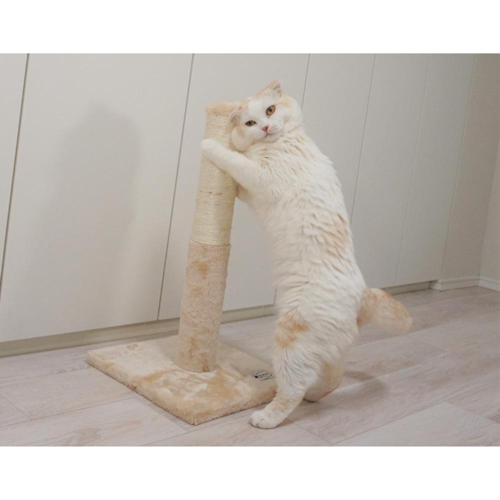 ねこがくれ ねこちゃん大好き爪とぎ キャットタワー ポール メーカー直送▼返品・キャンセル不可【他商品との同時購入不可】