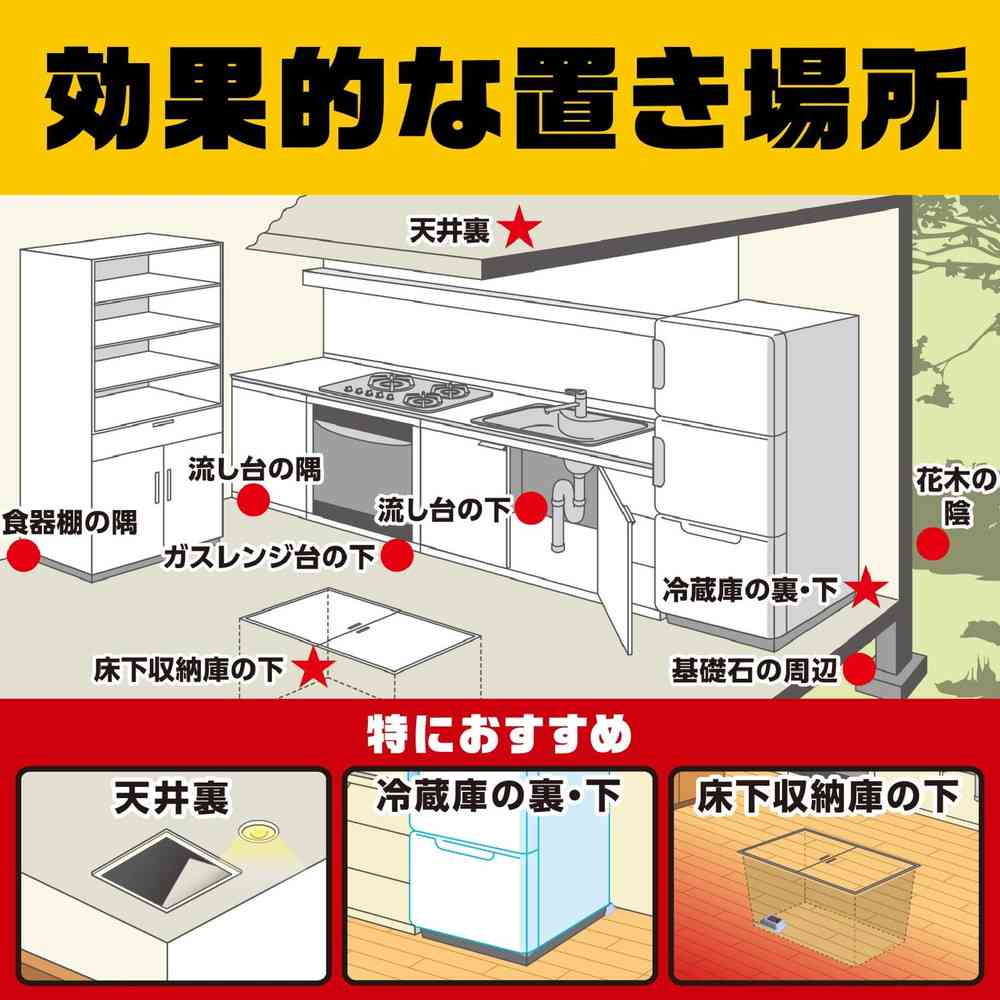 アース製薬 デスモアプロ トレータイプ 15gX4トレー
