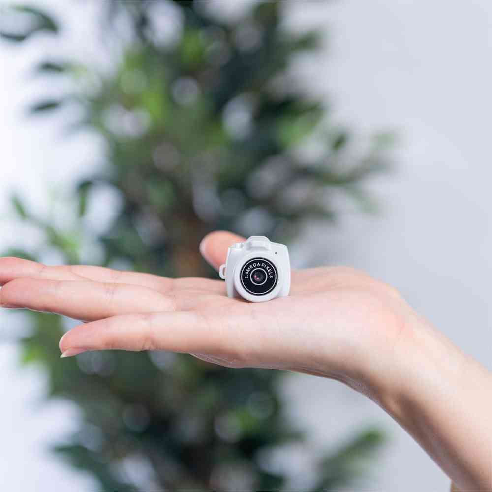 ナカバヤシ トイナカメラ easy ライトグレー ライトグレー