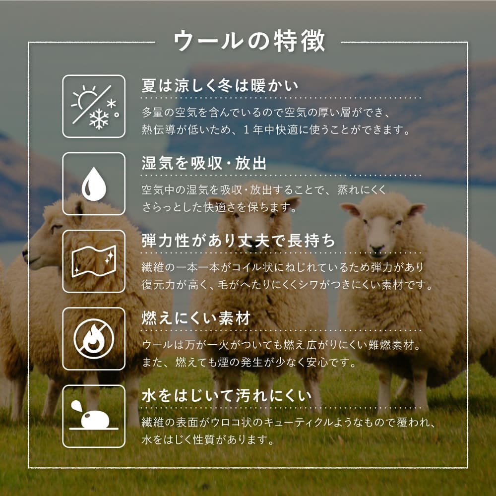 GABBEH D21 40X120 メーカー直送 ▼返品・キャンセル不可【他商品との同時購入不可】